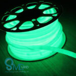 نئون فلکسی سبز